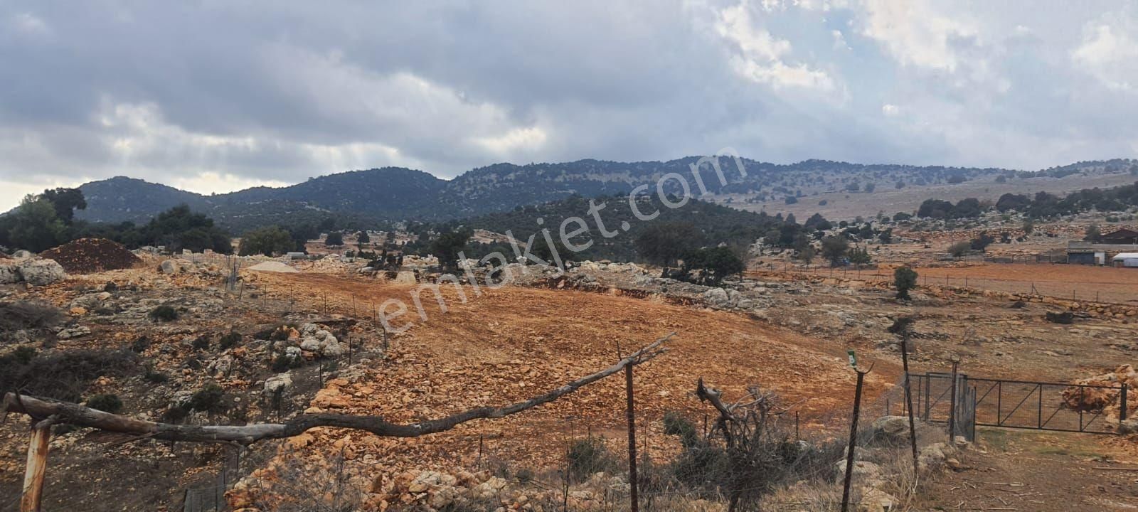 Manzaralı 4.500 M² Arazi🏡 Villa – Çiftlik – İşletme Uygun - Görsel 4