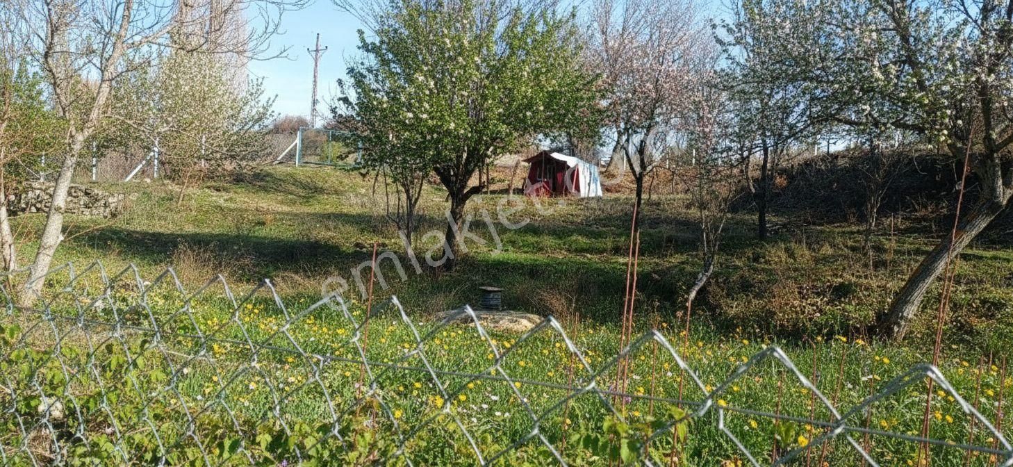 Ankara Da Ev Yapmaya Uygun Bahçe - Görsel 3