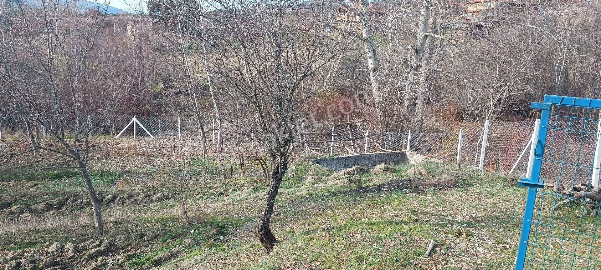 Ankara Da Ev Yapmaya Uygun Bahçe - Görsel 6