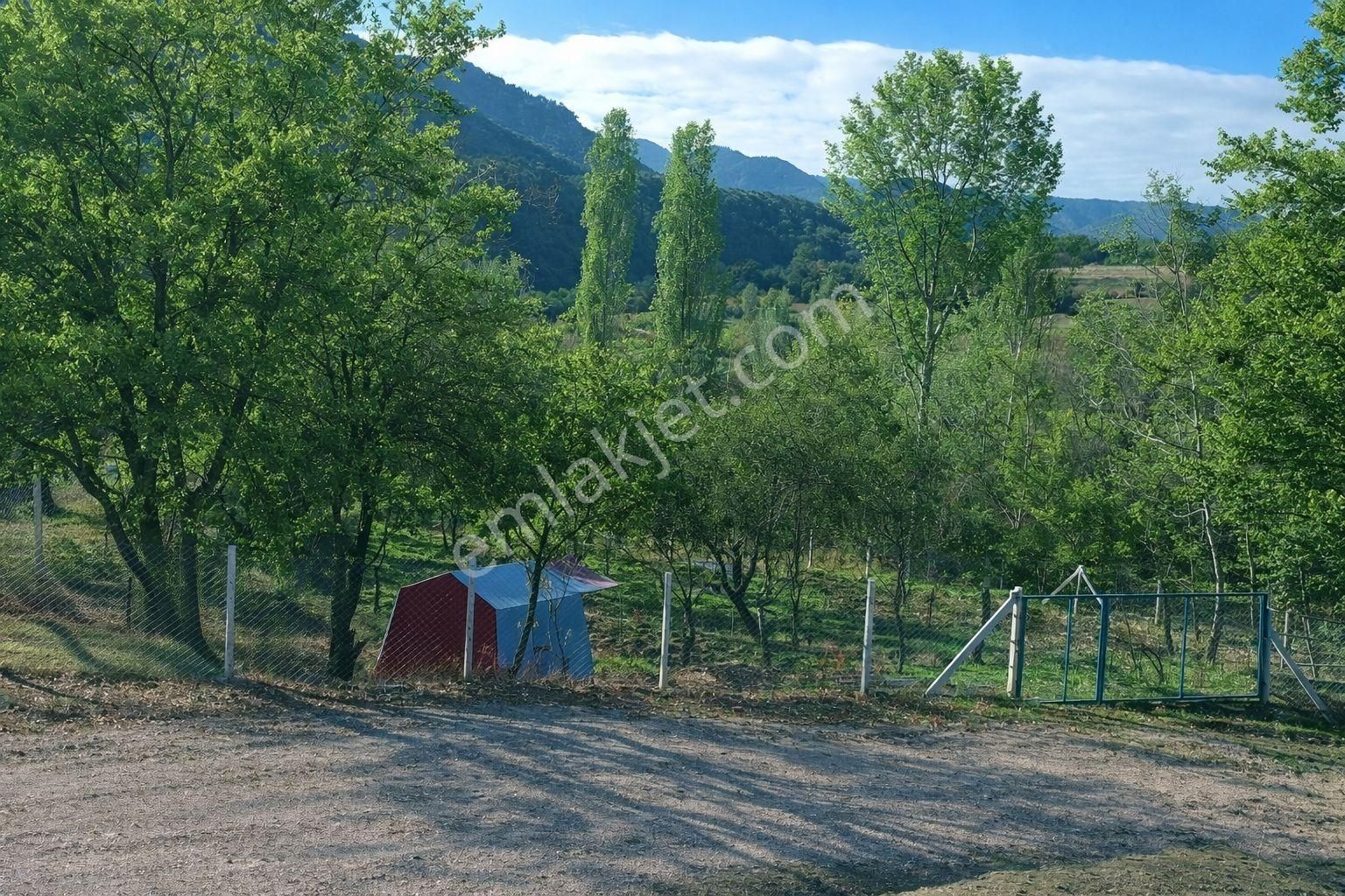 Ankara Da Ev Yapmaya Uygun Bahçe