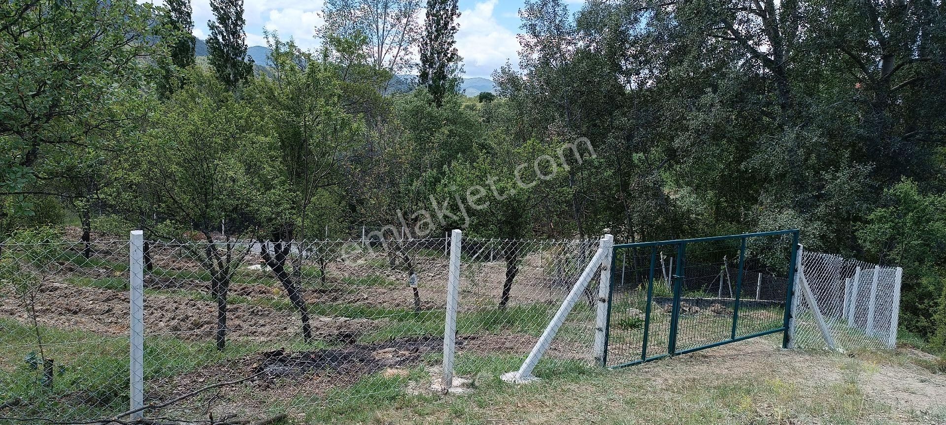 Ankara Da Ev Yapmaya Uygun Bahçe - Görsel 12