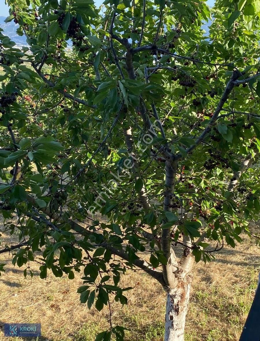 Krokiden Yakaköy Cevizli Yayla Mevkinde Satılık 250 M2 Tarla - Görsel 4