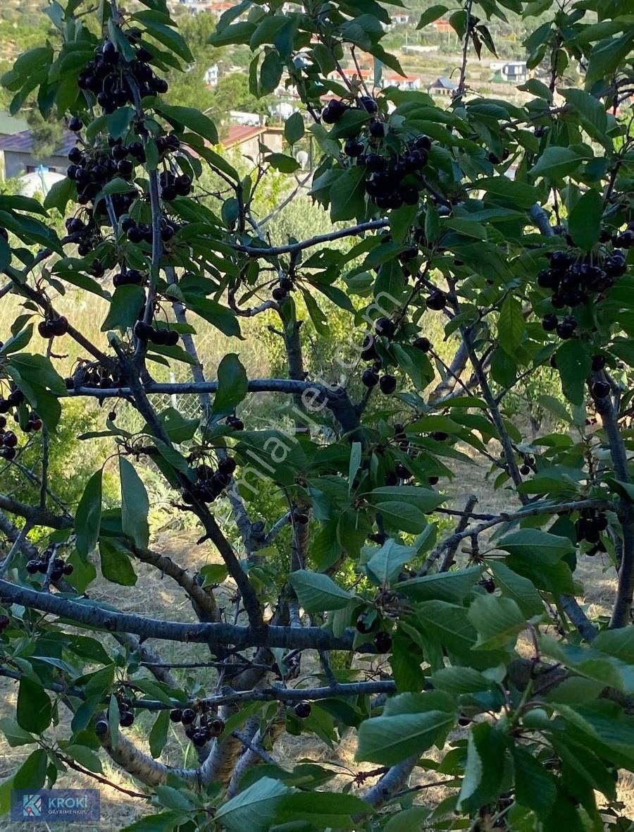 Krokiden Yakaköy Cevizli Yayla Mevkinde Satılık 250 M2 Tarla - Görsel 2