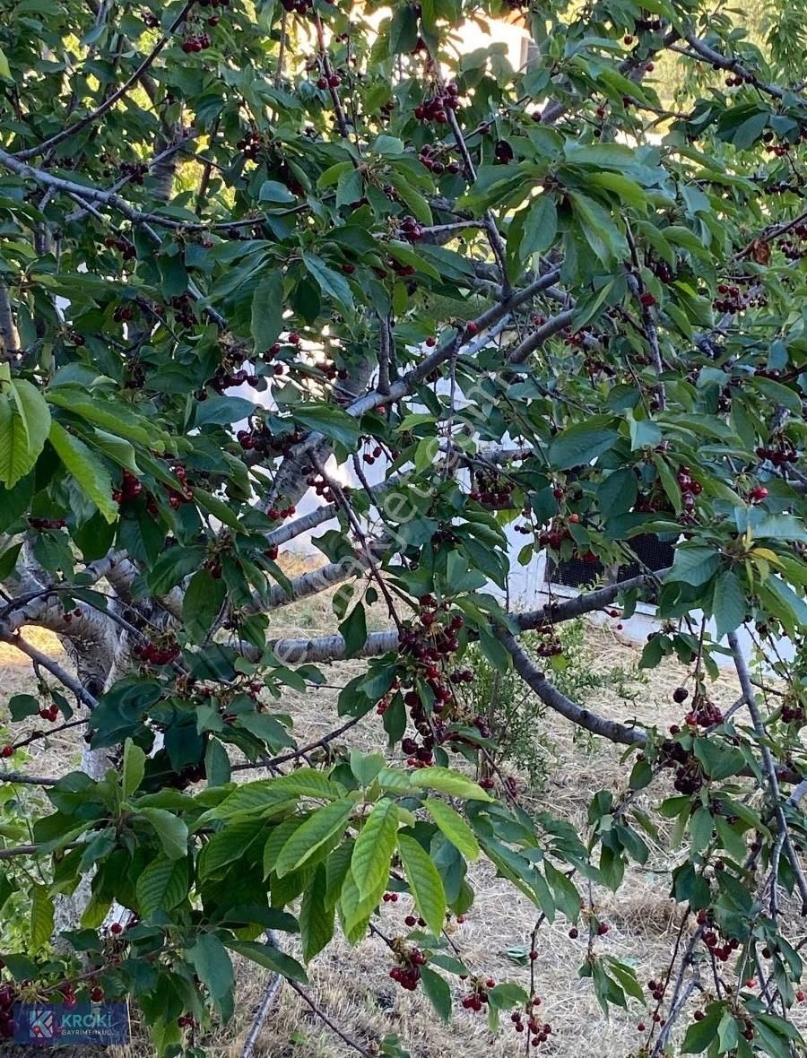 Krokiden Yakaköy Cevizli Yayla Mevkinde Satılık 250 M2 Tarla - Görsel 6