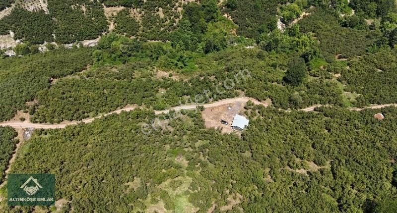 Altınköşe Emlak; Satılık Taşyatak Mah. 33.448m2 Fındık Bahçesi - Görsel 10