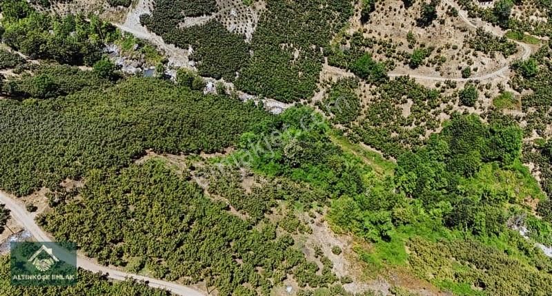 Altınköşe Emlak; Satılık Taşyatak Mah. 33.448m2 Fındık Bahçesi - Görsel 15