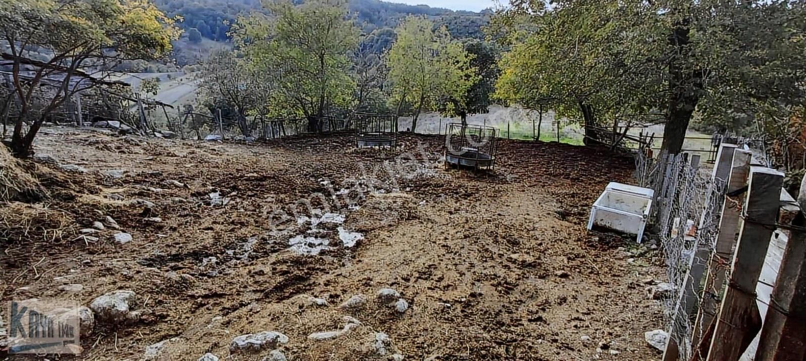 Satılık 616 M2 Arsa İçinde Müstakil Köy Evi - Görsel 3