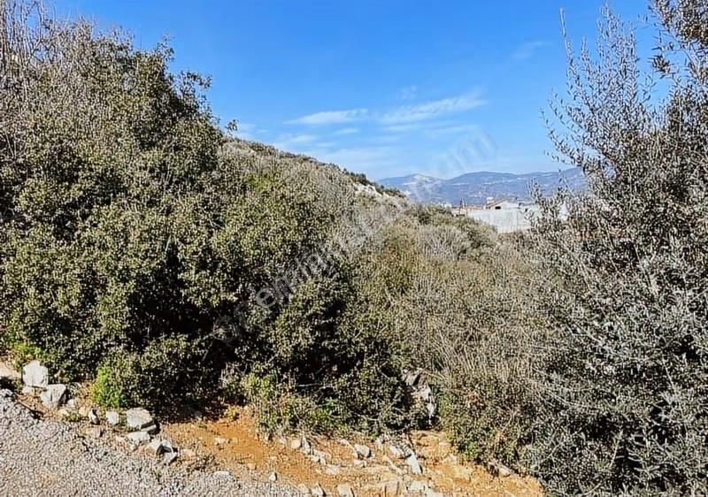 Yıldırım Mühendislikt'ten İsmetpaşa Mah."404 M2" İmarlı Arsa - Görsel 5