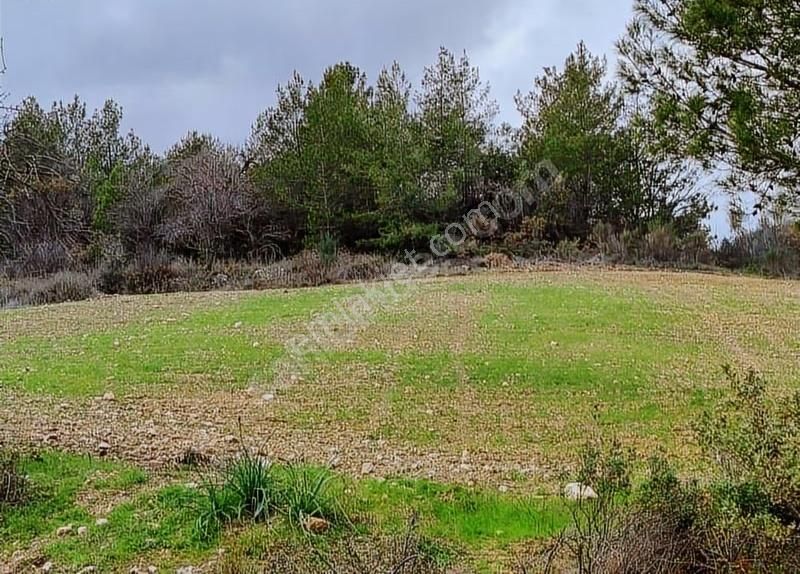 Yıldırım Mühendislikten"2.111 M2"yola Cephe 75 M2 Ev Yapılabilir