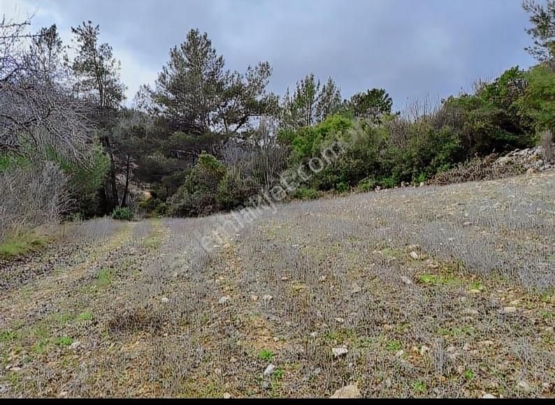 Yıldırım Mühendislikten"2.111 M2"yola Cephe 75 M2 Ev Yapılabilir - Görsel 7