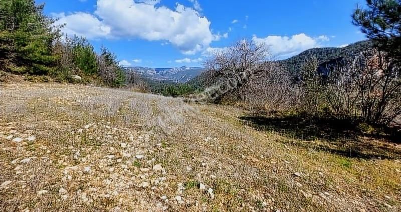 Yıldırım Mühendislikten"2.111 M2"yola Cephe 75 M2 Ev Yapılabilir - Görsel 6