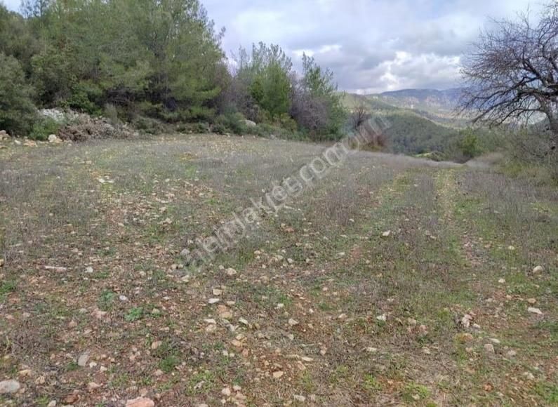 Yıldırım Mühendislikten"2.111 M2"yola Cephe 75 M2 Ev Yapılabilir - Görsel 2