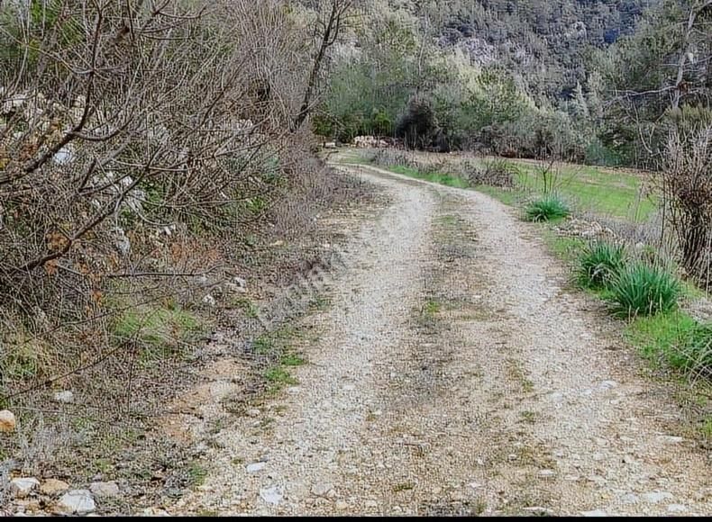 Yıldırım Mühendislikten"2.111 M2"yola Cephe 75 M2 Ev Yapılabilir - Görsel 4