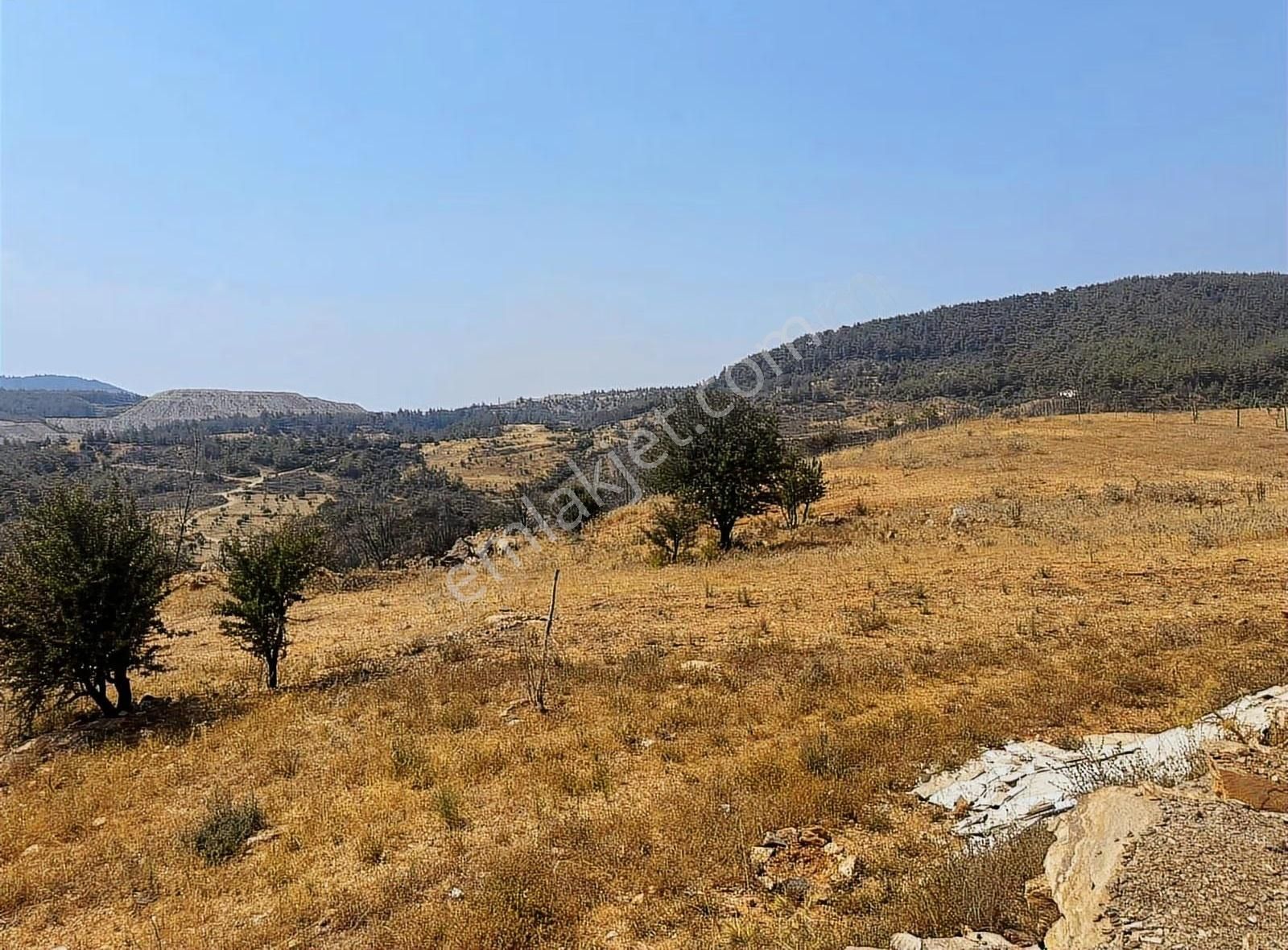 Yıldırım Mühendislik'ten Sek Mah." 4000 M2 "yatırımlık Düz Arazi - Görsel 4