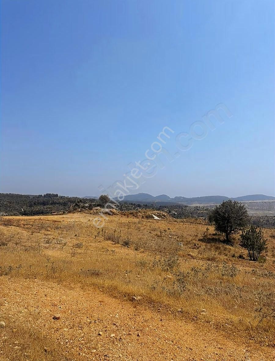 Yıldırım Mühendislik'ten Sek Mah." 4000 M2 "yatırımlık Düz Arazi - Görsel 5