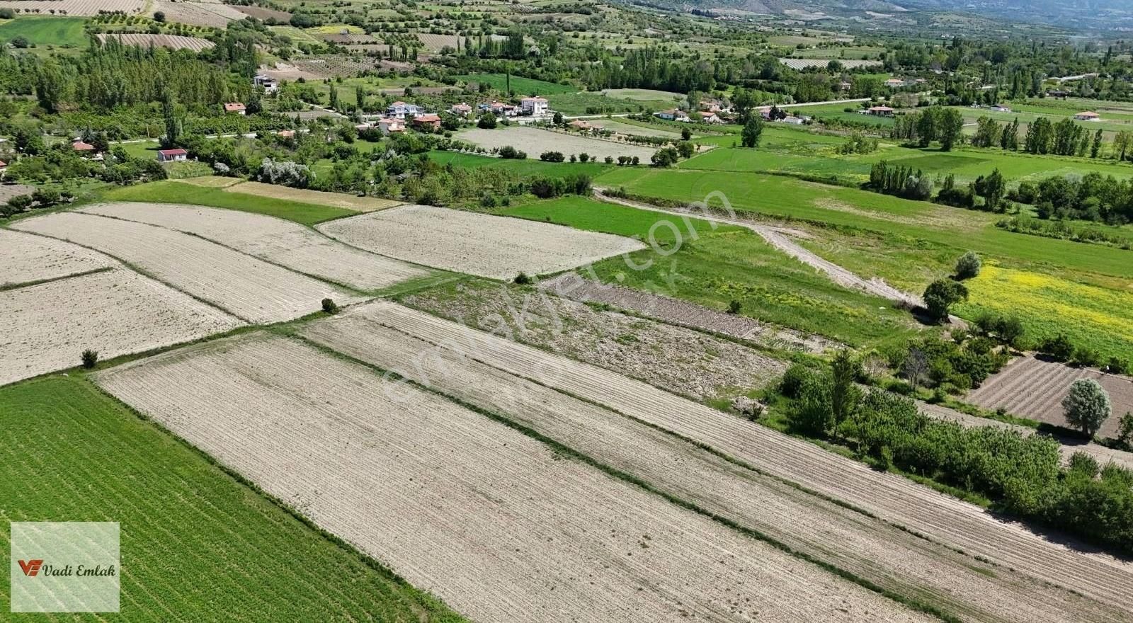 Vadi Emlak'tan Emirseyit'te 918 Mt² Satılık Bahçe - Görsel 3