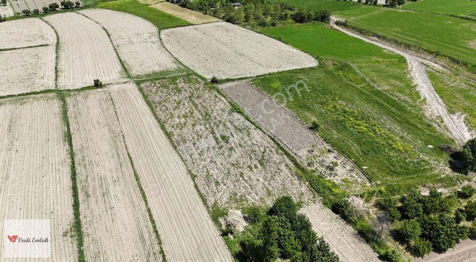 Vadi Emlak'tan Emirseyit'te 918 Mt² Satılık Bahçe - Görsel 7