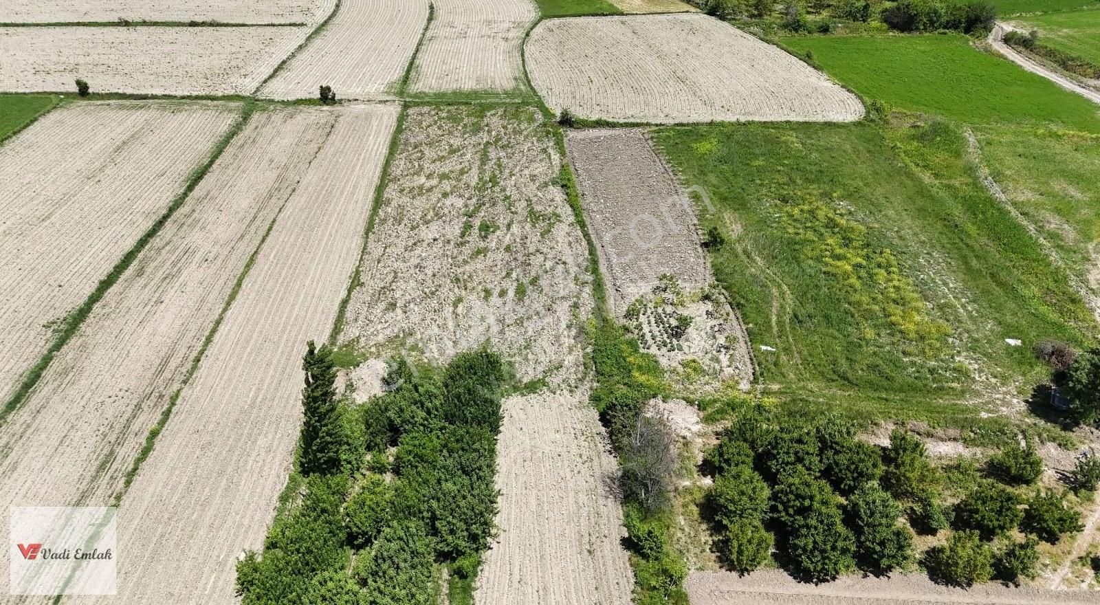 Vadi Emlak'tan Emirseyit'te 918 Mt² Satılık Bahçe - Görsel 13