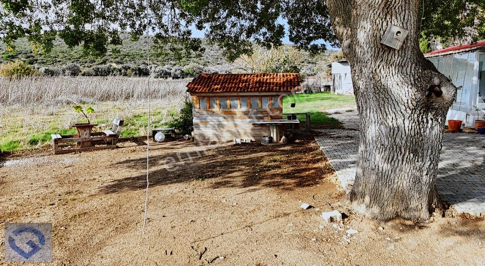 Hüseyin Öziç'den Musalla Kuşyerin'de Satılık Tarla - Görsel 5