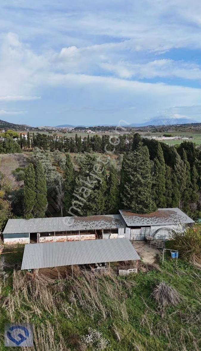 Hüseyin Öziç'den Musalla Kuşyerin'de Satılık Tarla - Görsel 6