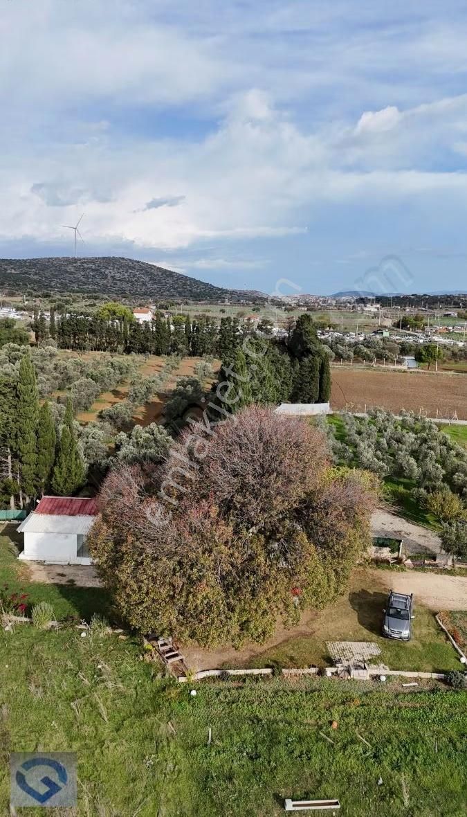 Hüseyin Öziç'den Musalla Kuşyerin'de Satılık Tarla - Görsel 7