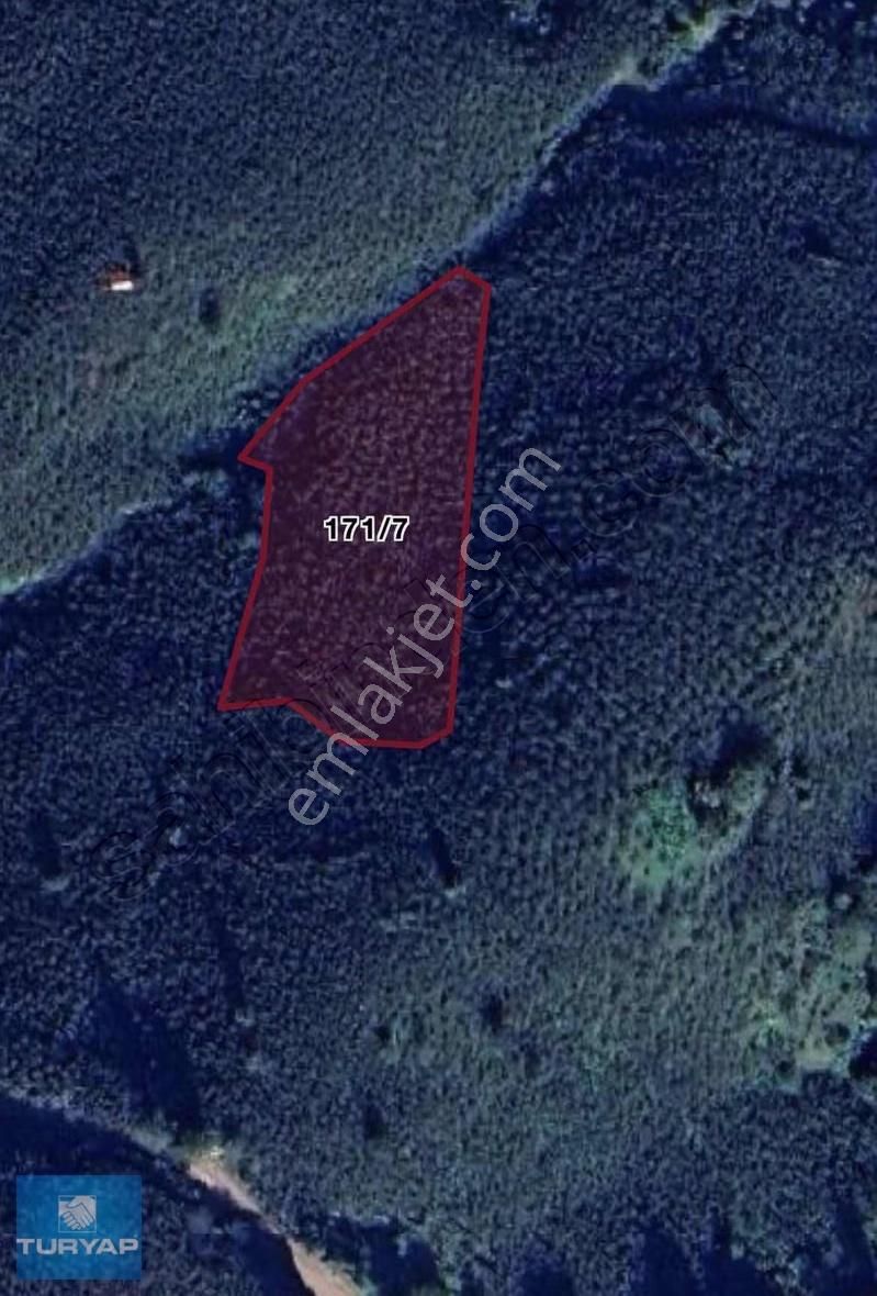 Ordu Ulubey Çubuklu Mah. 3.410 M2 Satılık Fındık Bahçesi