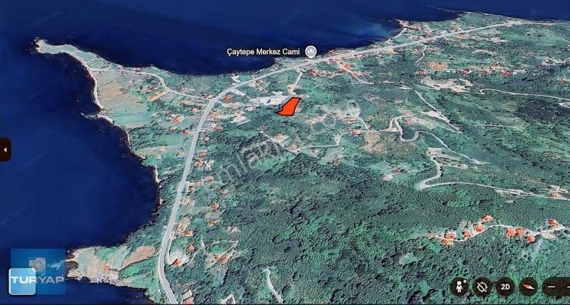 Perşembe Yason Burnunda Satılık 3.786 M2. Eğimsiz Bahçe. - Görsel 4