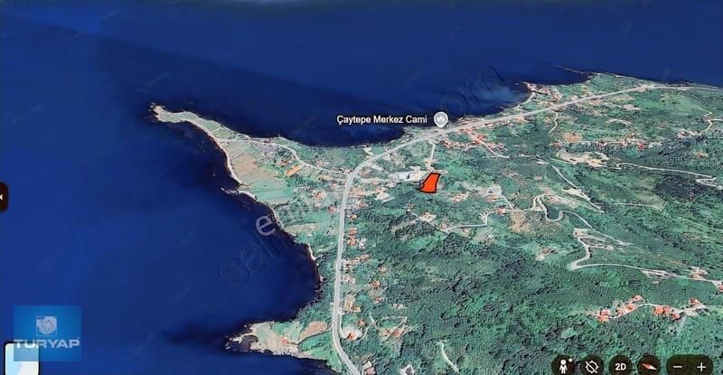 Perşembe Yason Burnunda Satılık 3.786 M2. Eğimsiz Bahçe. - Görsel 9