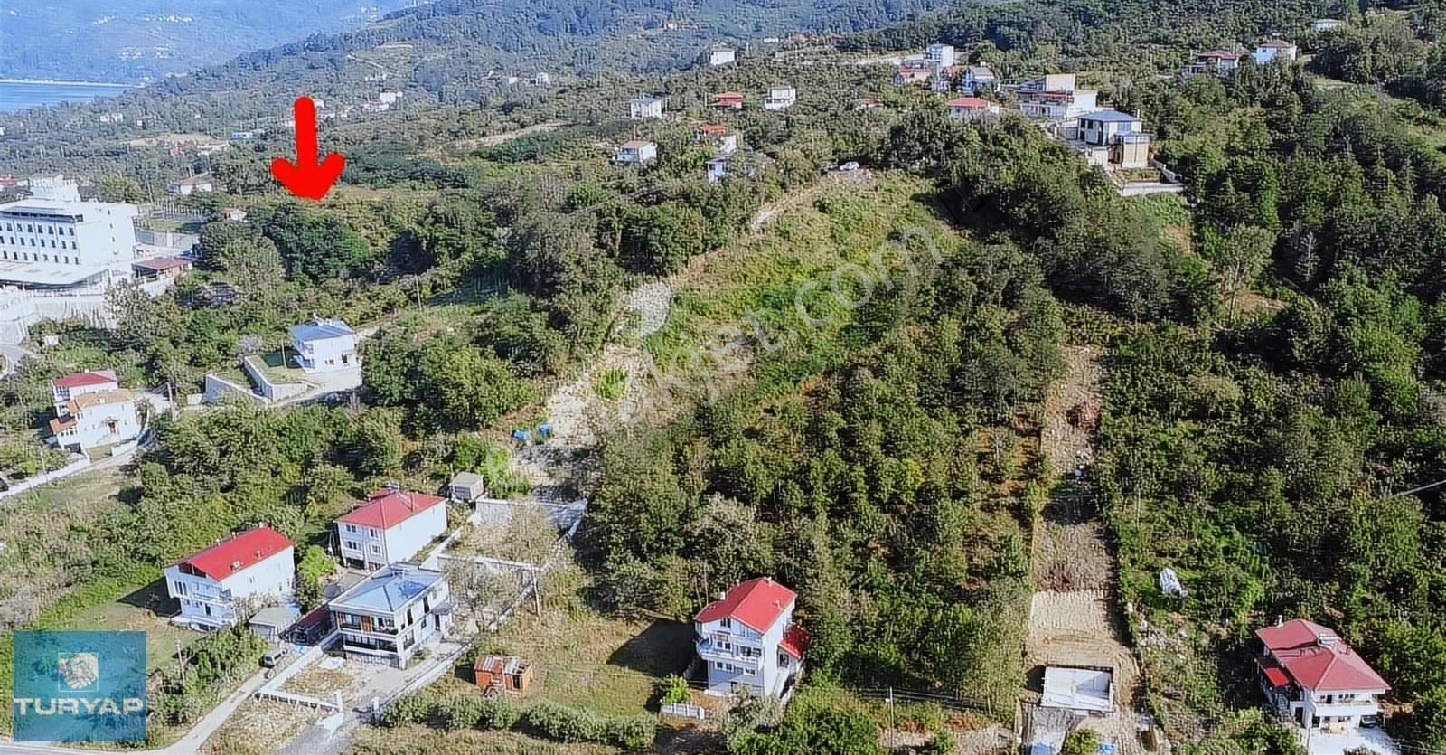 Perşembe Yason Burnunda Satılık 3.786 M2. Eğimsiz Bahçe. - Görsel 7