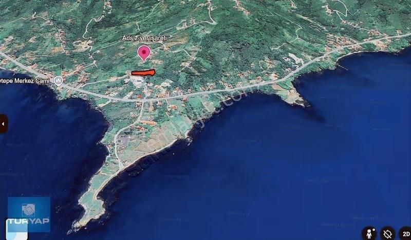 Perşembe Yason Burnunda Satılık 3.786 M2. Eğimsiz Bahçe. - Görsel 2