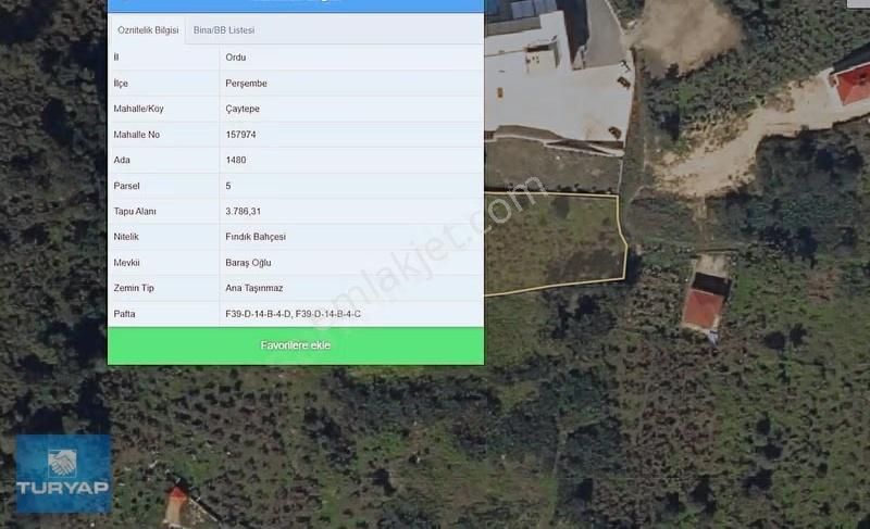 Perşembe Yason Burnunda Satılık 3.786 M2. Eğimsiz Bahçe. - Görsel 11