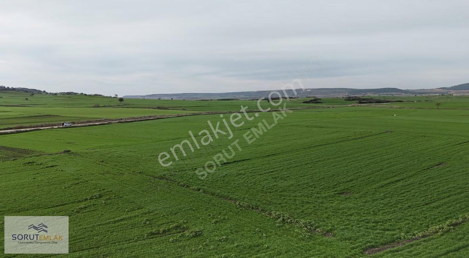 Mecidiye Köyüne 500 M Mesafede 2.899 M² Müstakil Tapu Tarla - Görsel 2
