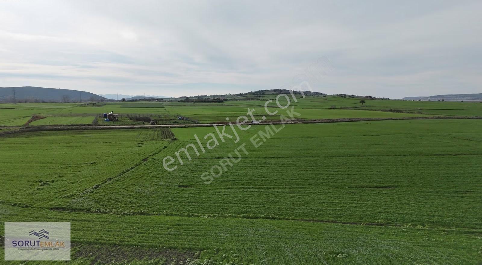 Mecidiye Köyüne 500 M Mesafede 2.899 M² Müstakil Tapu Tarla - Görsel 6