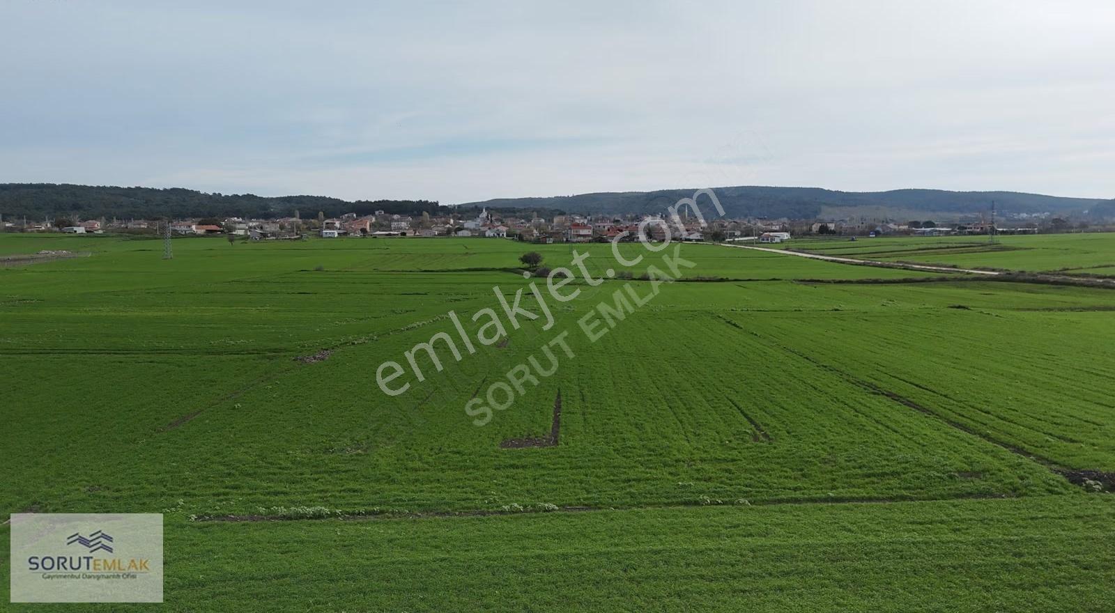 Mecidiye Köyüne 500 M Mesafede 2.899 M² Müstakil Tapu Tarla - Görsel 20