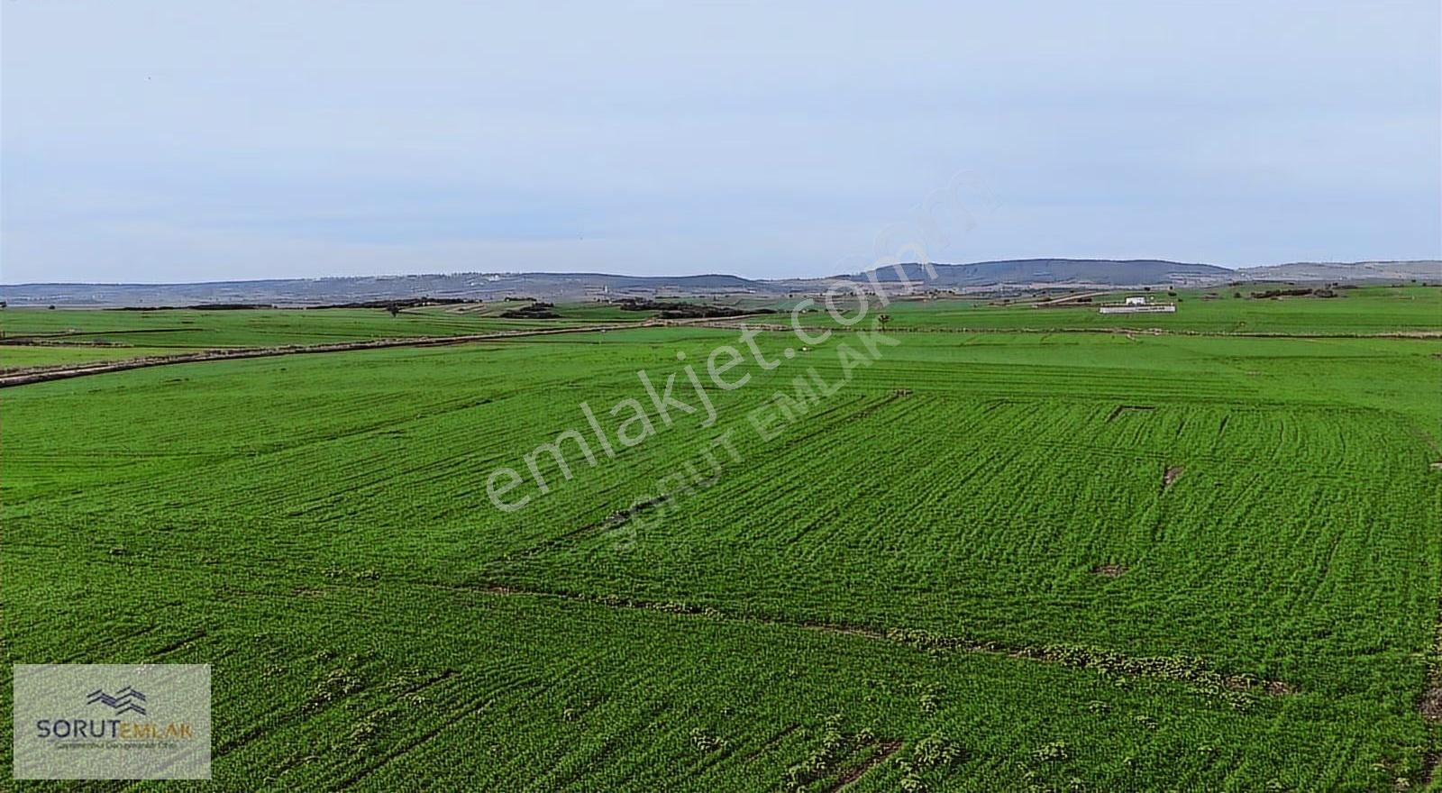 Mecidiye Köyüne 500 M Mesafede 2.899 M² Müstakil Tapu Tarla - Görsel 5