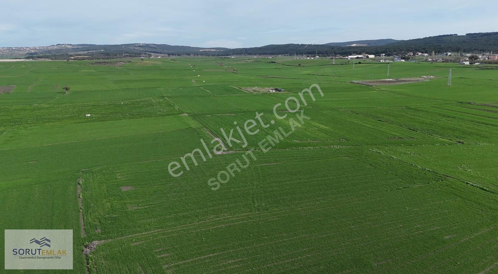 Mecidiye Köyüne 500 M Mesafede 2.899 M² Müstakil Tapu Tarla - Görsel 35