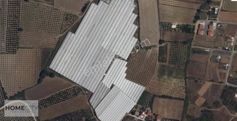 Manavgat Çolaklı 80.000m2,kapalı Sera,sulama Sistemi,lojmannnnnn - Görsel 6