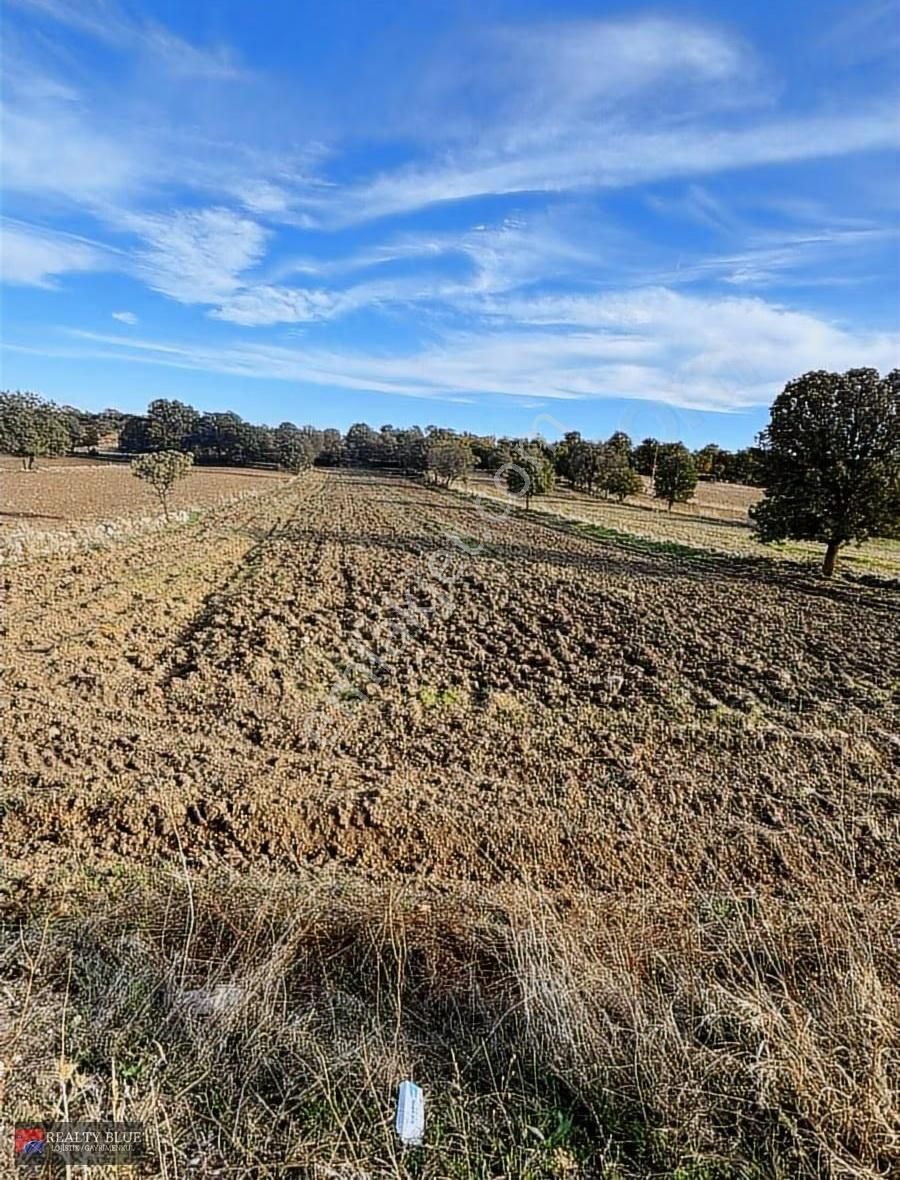 Eşme Keklikli Köyü Yakın Yola Cephe Satılık 5020 M² Tarla - Görsel 5