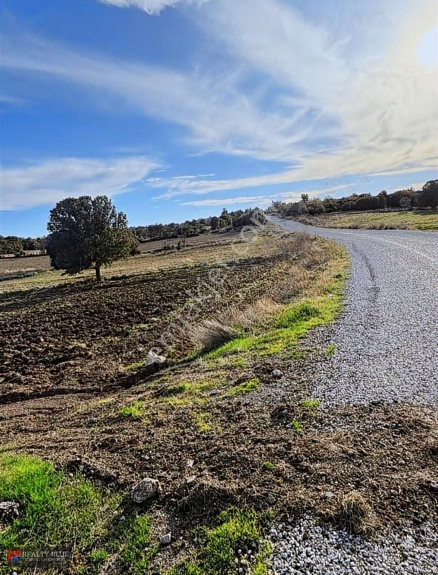 Eşme Keklikli Köyü Yakın Yola Cephe Satılık 5020 M² Tarla - Görsel 2