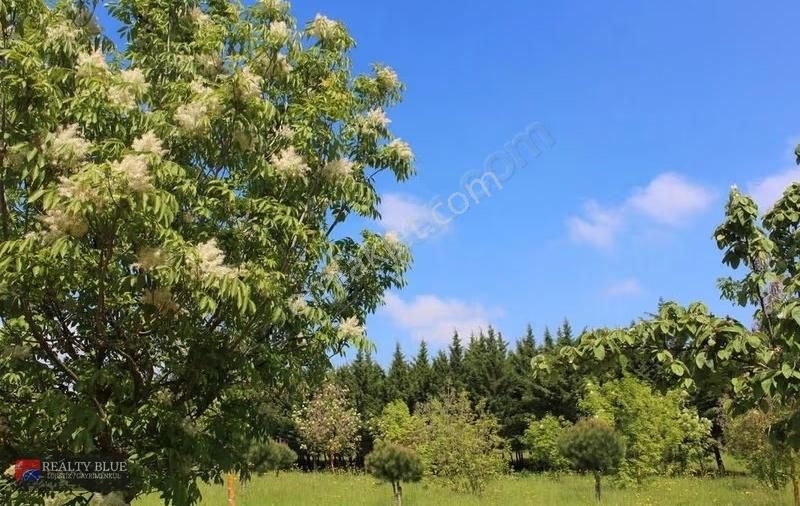 Avrupa'nın En Büyük Villa Kenti Tepekent'te Satılık Arsa - Görsel 6