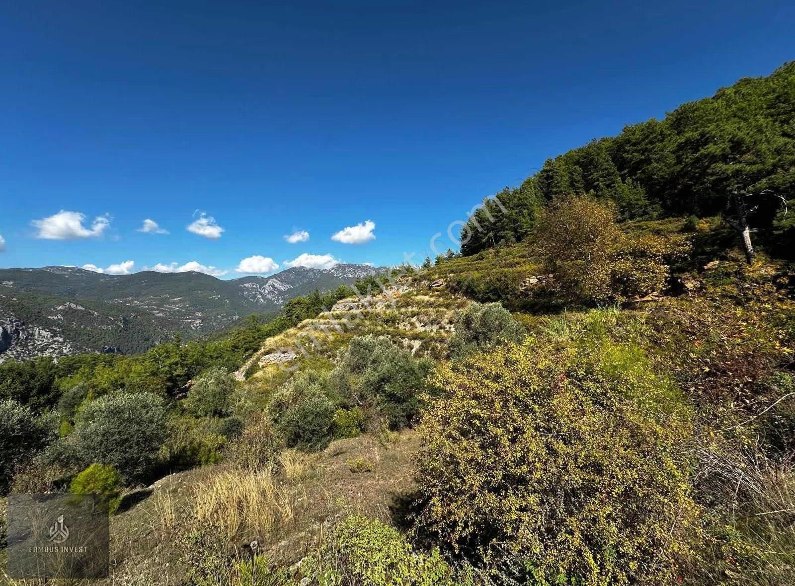 Alanya Kızılcaşehir Deniz, Kale Manzaralı Satılık Tarla - Görsel 19