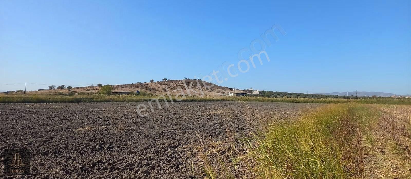 Foça Gerenköy'de Köye Yakın Asvalt Yol Cephelı Elektirik Yakın - Görsel 15