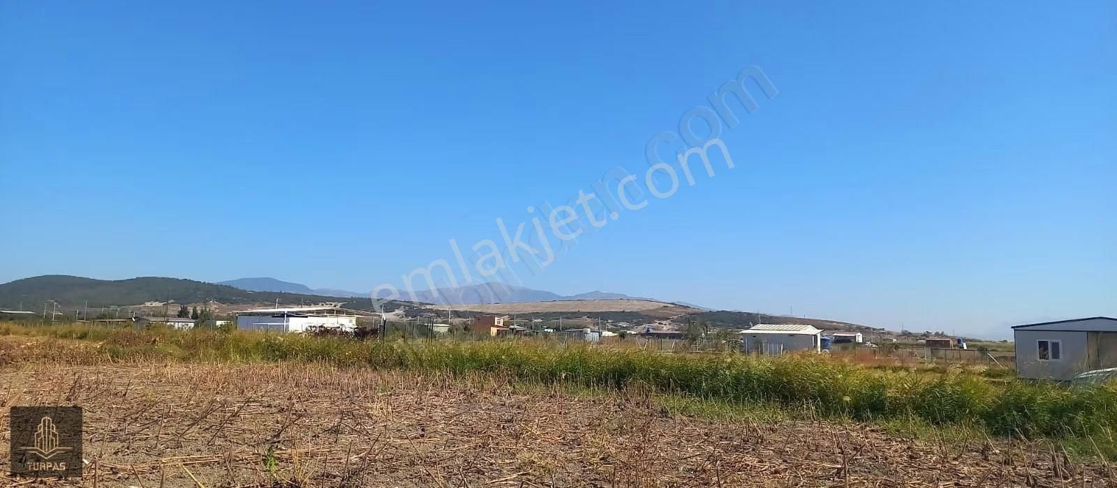 Foça Gerenköy'de Köye Yakın Asvalt Yol Cephelı Elektirik Yakın - Görsel 16