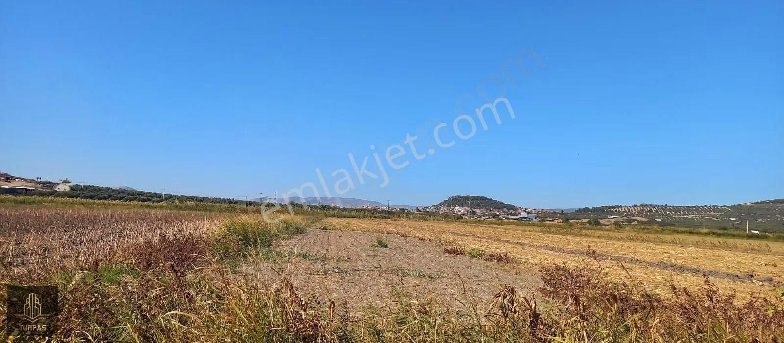 Foça Gerenköy'de Köye Yakın Asvalt Yol Cephelı Elektirik Yakın - Görsel 5