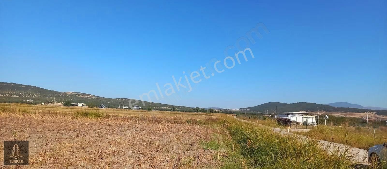 Foça Gerenköy'de Köye Yakın Asvalt Yol Cephelı Elektirik Yakın - Görsel 20