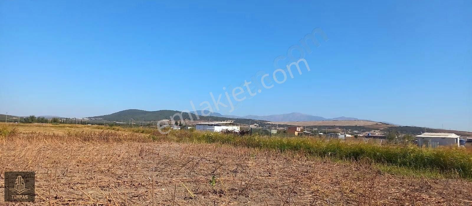 Foça Gerenköy'de Köye Yakın Asvalt Yol Cephelı Elektirik Yakın - Görsel 3