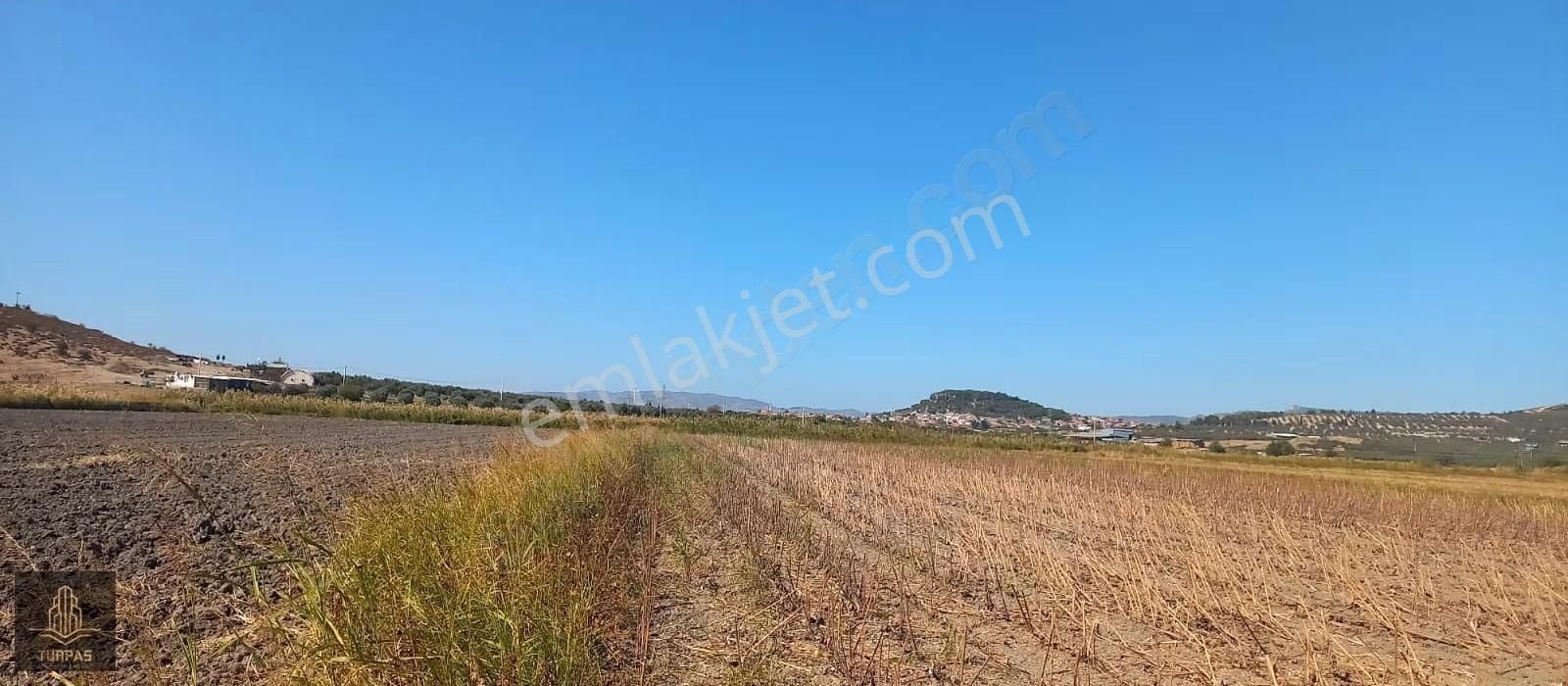 Foça Gerenköy'de Köye Yakın Asvalt Yol Cephelı Elektirik Yakın - Görsel 2