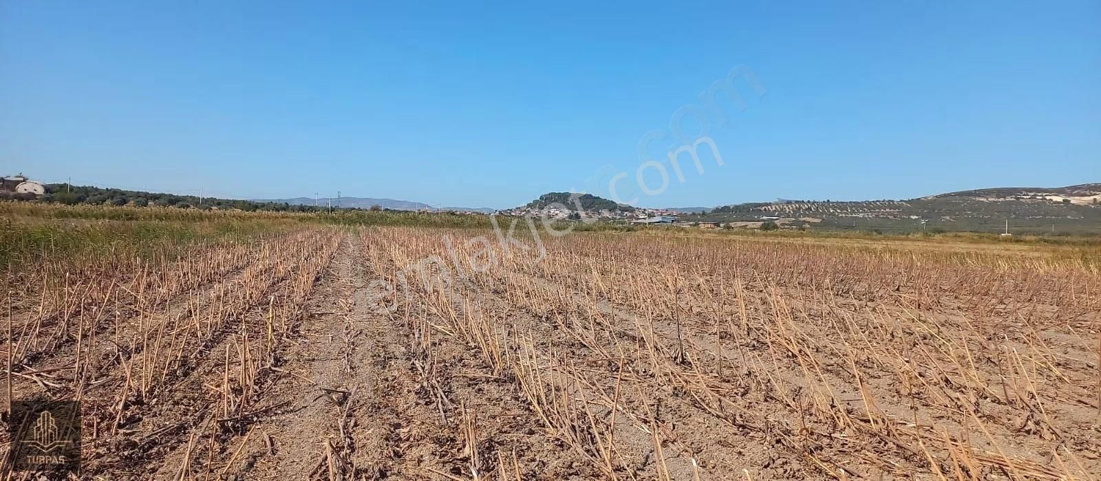 Foça Gerenköy'de Köye Yakın Asvalt Yol Cephelı Elektirik Yakın - Görsel 6