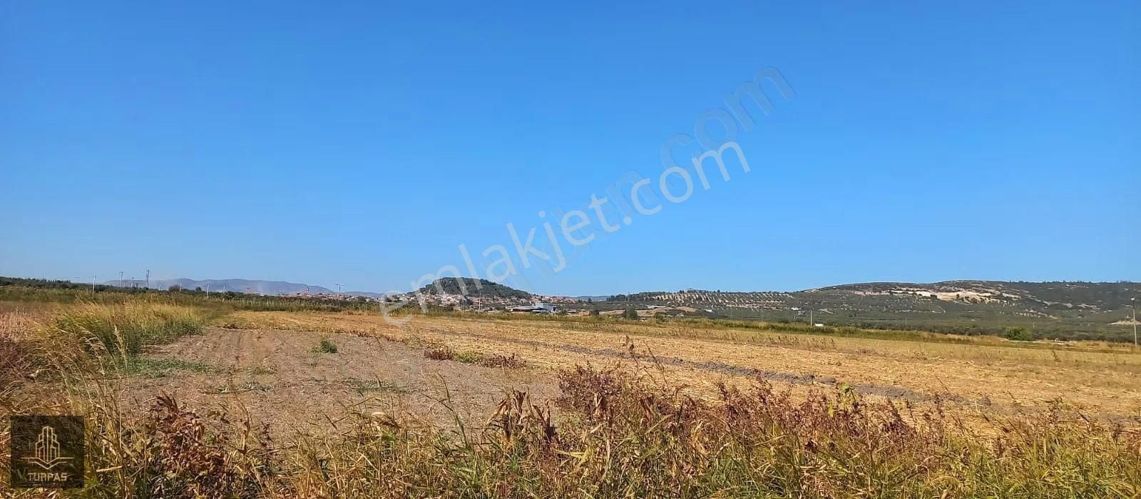 Foça Gerenköy'de Köye Yakın Asvalt Yol Cephelı Elektirik Yakın - Görsel 8