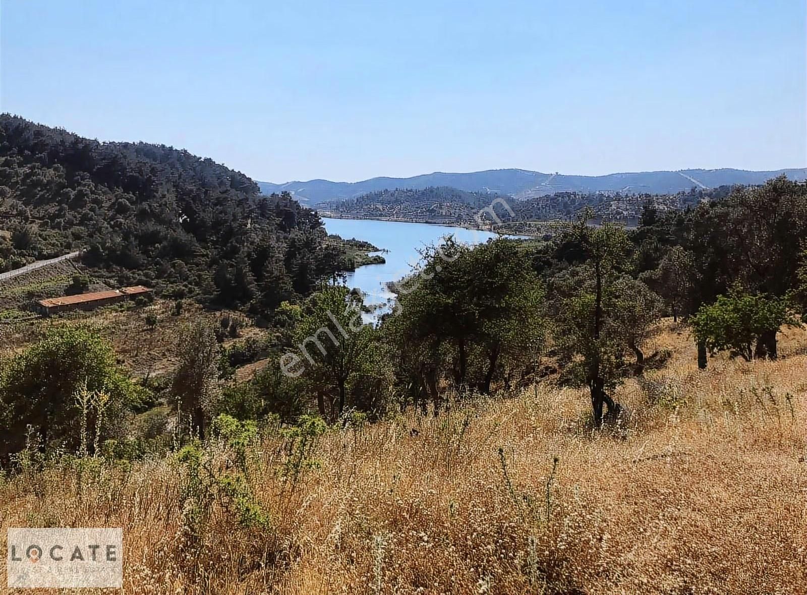 Locate'den Seferihisar Beyler Baraj Manzaralı Satılık Zeytinlik